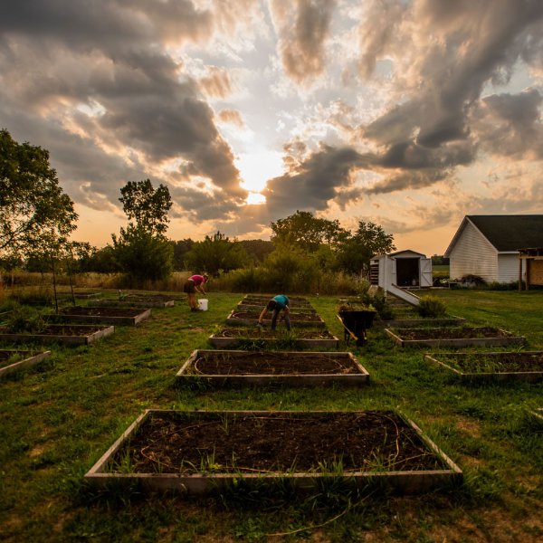The Sustainable Agriculture Project farm at sunrise