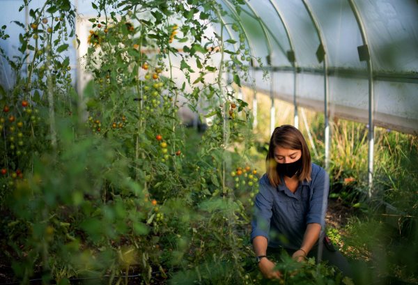 Margaux Sellnau works in the greenhouse at the Sustainable Agriculture Project.