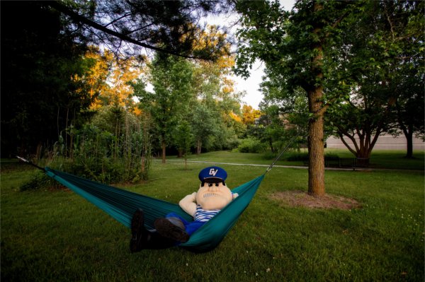 Louie the Laker lounges in a teal hammock between trees in a grassy, sunlit park surrounded by greenery.