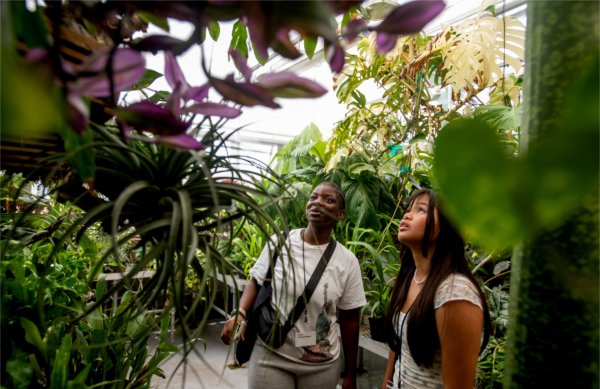 Two students walk through the Barbara Kindschi Greenhouse, gazing up at plants and hanging foliage under a glass ceiling.