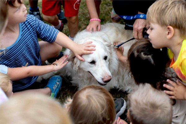 Children surround a golden retriever as they pet it.