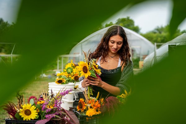 A young woman holds a bouquet of sunflowers she&#8217;s pulled from a larger bucket of harvested flowers. 