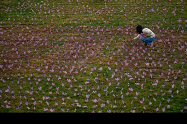 A person crouches down to place a small American flag into the ground. The person is surrounded by many small American flags for a memorial on GVSU's Valley Campus.