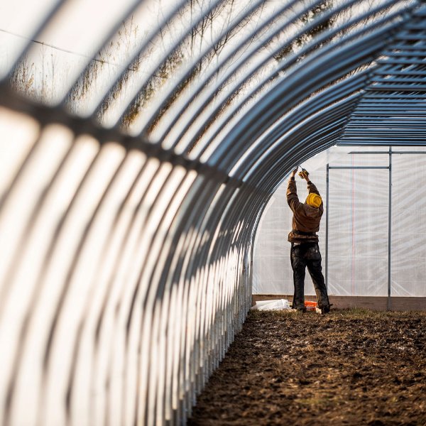 Someone installing a hoophouse greenhouse.