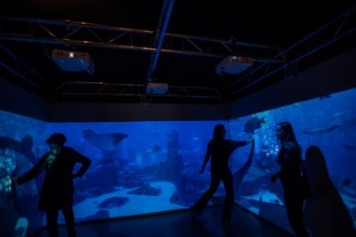people are silhouetted against a background projected on two walls that looks like an aquarium