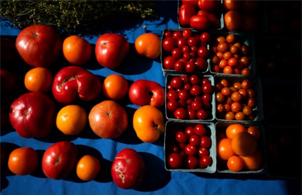 Sunlight highlights an arrangement of tomatoes at a farm stand. 