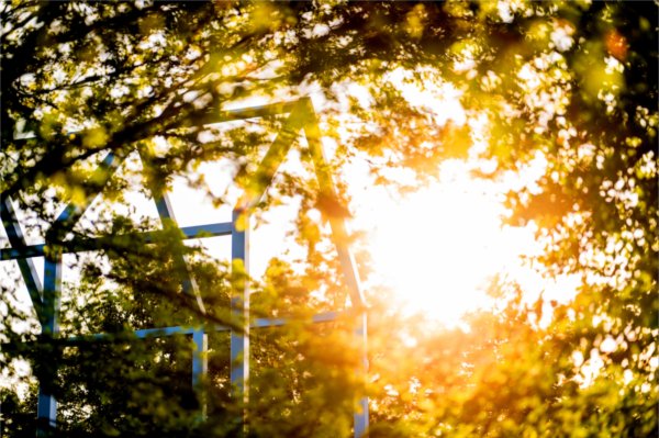 The sun rises behind trees and an art sculpture of blue metal. 