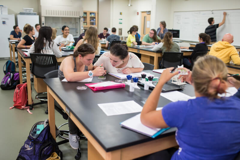 Washington Monthly ranked Grand Valley State University a "Best Bang for the Buck" in the Midwest category for its 2017 College Guide Magazine.