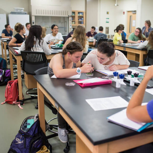 Washington Monthly ranked Grand Valley State University a "Best Bang for the Buck" in the Midwest category for its 2017 College Guide Magazine.