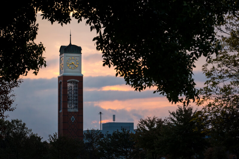 A photo of the Cook Carillon Tower