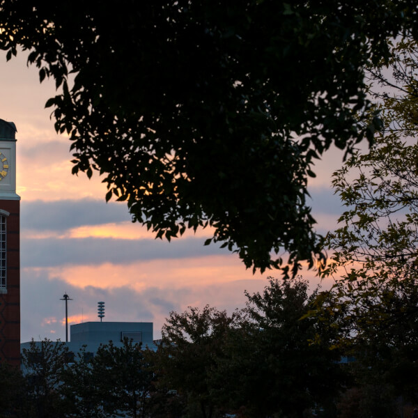 A photo of the Cook Carillon Tower