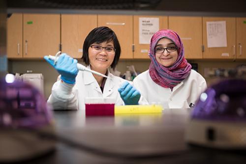 Photo by Amanda Pitts/Sok Kean Khoo, left, and graduate student Ghada Mohsen extract microRNAs in a lab at the Cook-DeVos Center for Health Sciences. Khoo earned a grant from the Michael J. Fox Foundation for Parkinson's Research.
