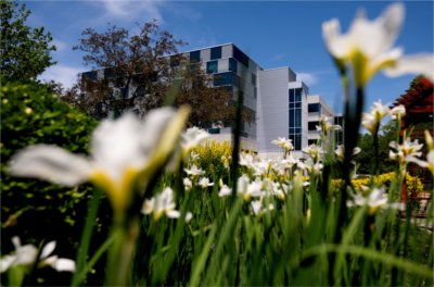 Flowers from the Shakespeare Garden frame Zumberge Hall on the Valley Campus June 3.