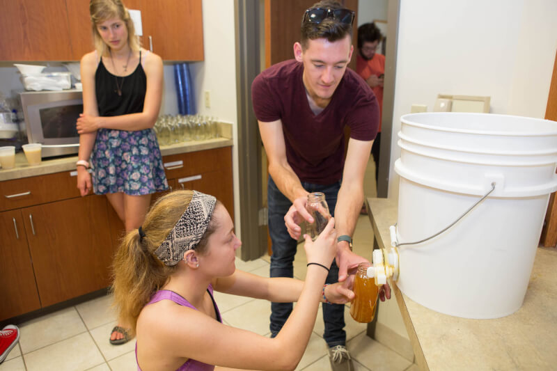  Members of the student organization GVSU Beekeepers bottle honey.