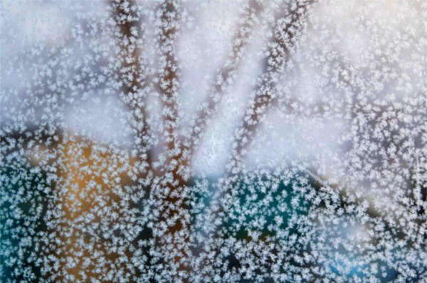 An academic building on a college campus is seen through frosted Plexiglass. 