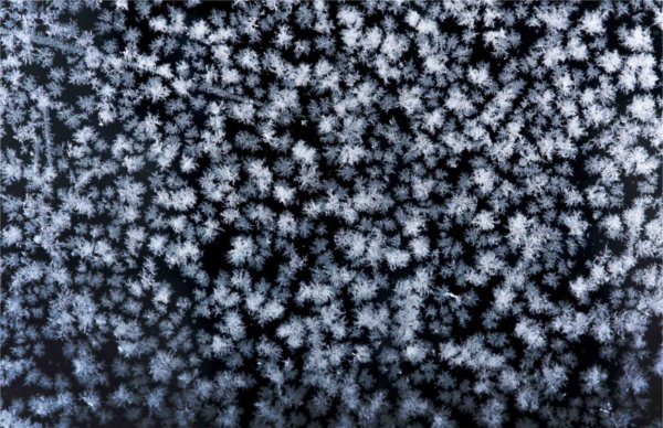  A detail of frost on a transit shelter. 