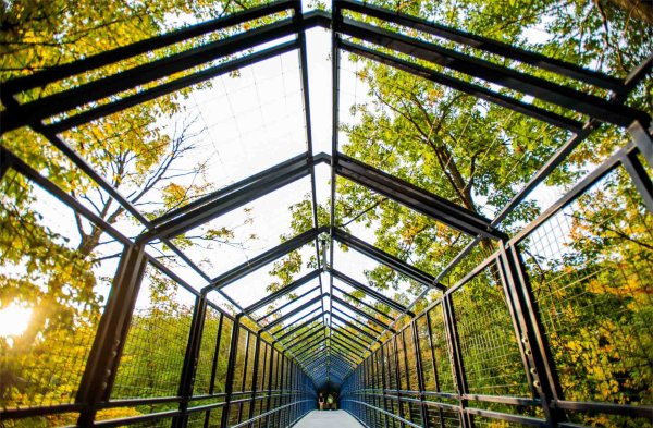  Students walk through a bridge structure with the fall leaves showing through. 
