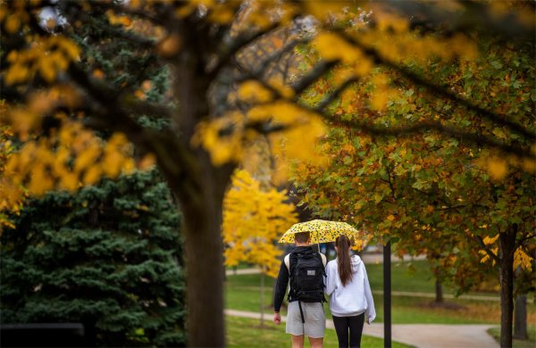 Two college students share a yellow umbrella as they walk among yellow changing leaves.  