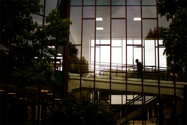 A person is silhouetted through the window of a college campus building. 