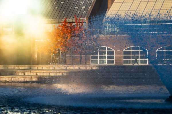Sunlight through fog lights up the left side of the frame, while a fountain in a pond are in cool shadow on the right side. In the background a person walks in front of a building. 