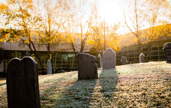  Backlit gravestones on a frosty hill with trees with yellow leaves in the background. One of the gravestones says the word "dead" on it. 