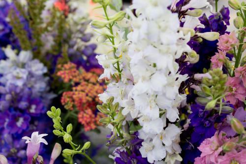 Faculty and staff members who have given presentations, or with publications are listed.