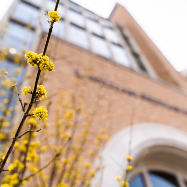 Spring flowers shown outside of the Seidman building at GVSU's Pew Campus