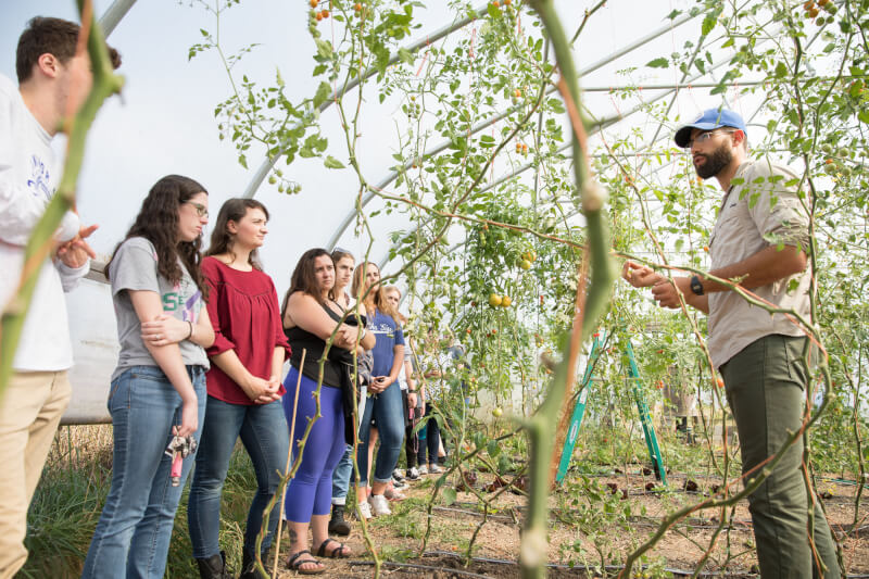 A professor teaches students outside at the Sustainable Agriculture Project at the Grand Valley Allendale Campus.