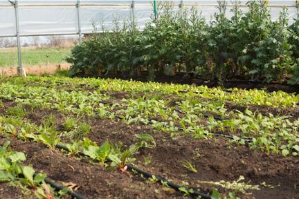 Photos by Elizabeth Lienau