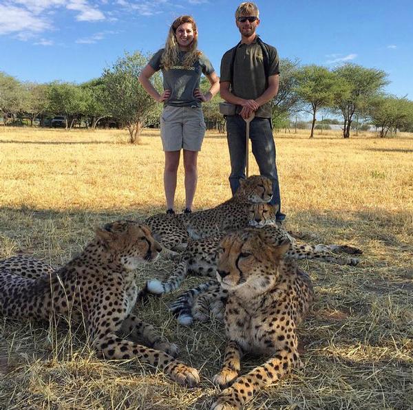 Vargo and Eli Walker, CCF research technician, pictured with four ambassador cheetahs named Senay, Kijay, Peter and Tiger Lily. Photo courtesy Erin Vargo.