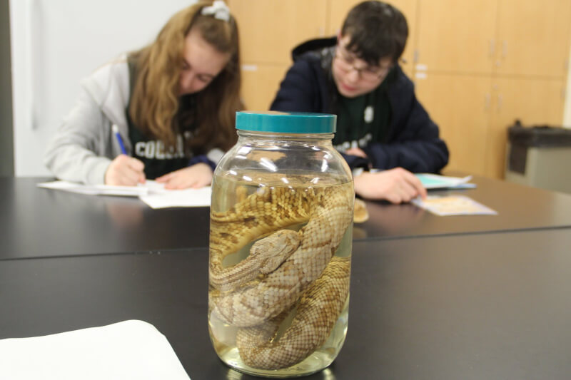 Students participating in the Herpetology event.