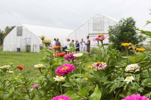 The Sustainable Agriculture Project, located in Allendale, provides a space for students to learn about agriculture and farming.