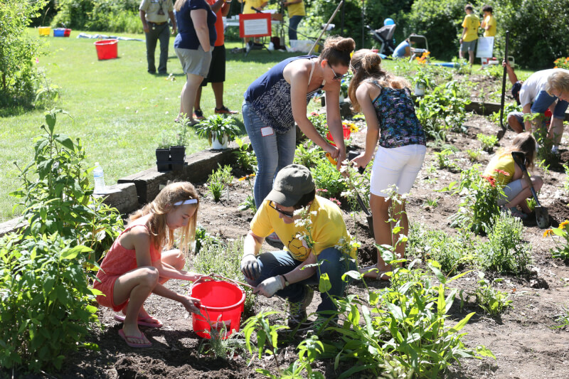 Participants added plants and flowers to the Pollination and Butterfly Garden.