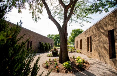 Wide view showing courtyard transformed into a garden with a tree surrounded by paths, flowers and landscaping.