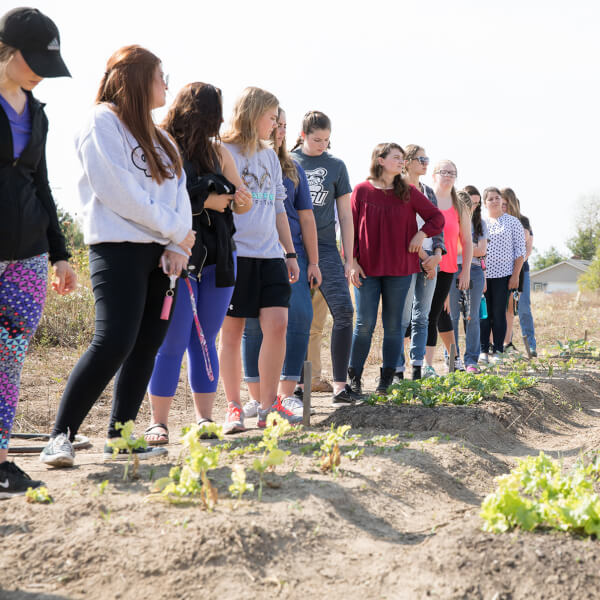 group at garden planting