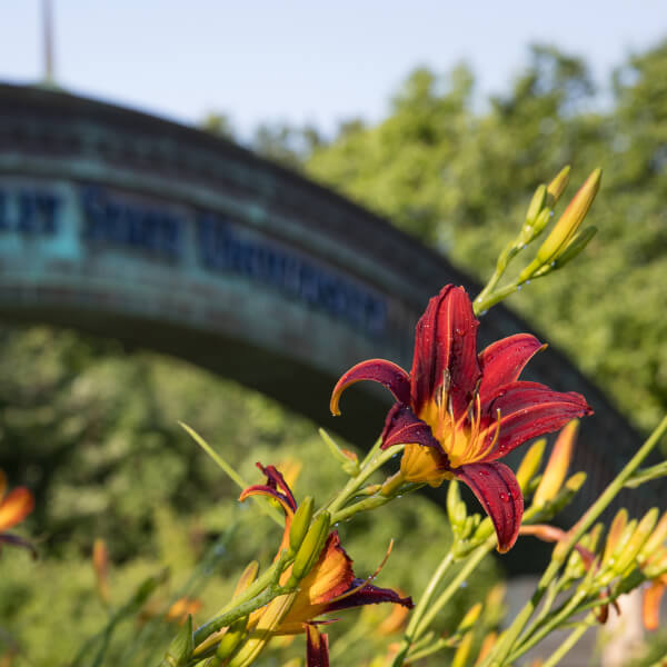 campus entrance arch