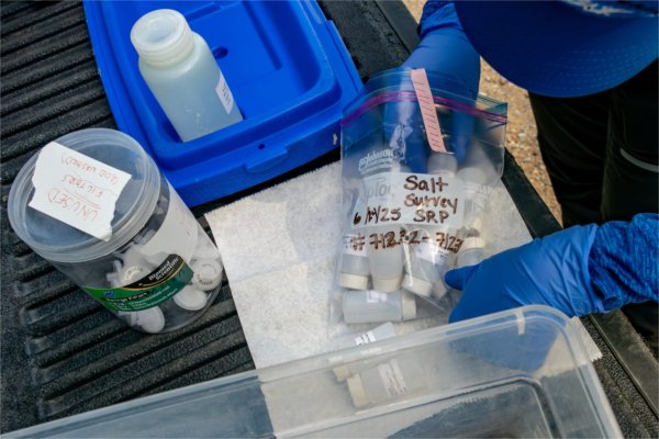 A person reaching into a plastic bag labeled "Salt Survey."