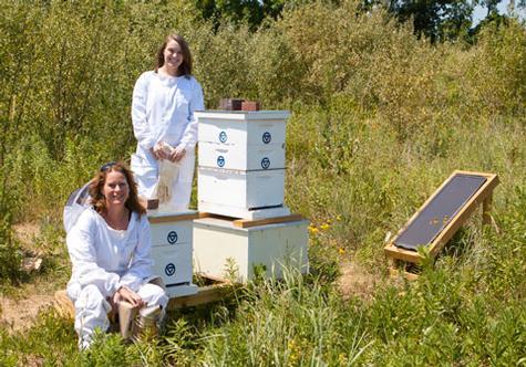 From left, Jennifer Holt and Anne Marie Fauvel stand by the apiary at the Meijer Campus in Holland.