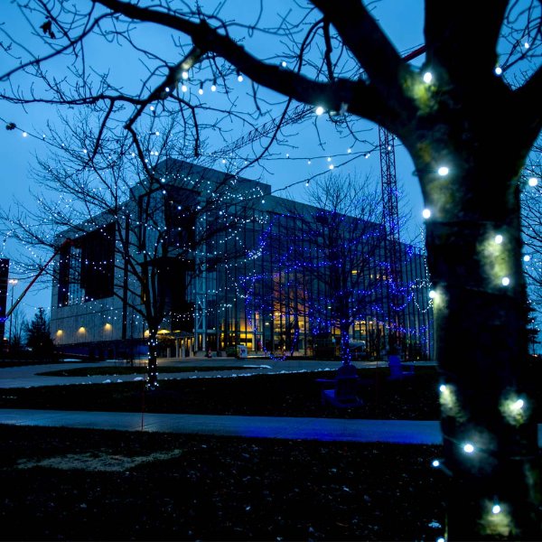 Holiday lights on a trees near the Mary Idema Pew Library