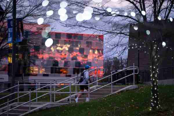 Holiday lights twinkle on campus during sunset.
