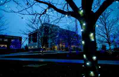 blue holiday lights on trees in front of the Mary Idema Pew Library