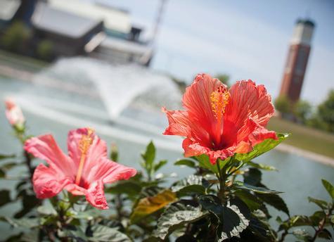 Photos by Amanda Pitts/Elizabeth Lienau