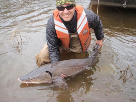 Grand Valley researcher Carl Ruetz with a lake sturgeon.