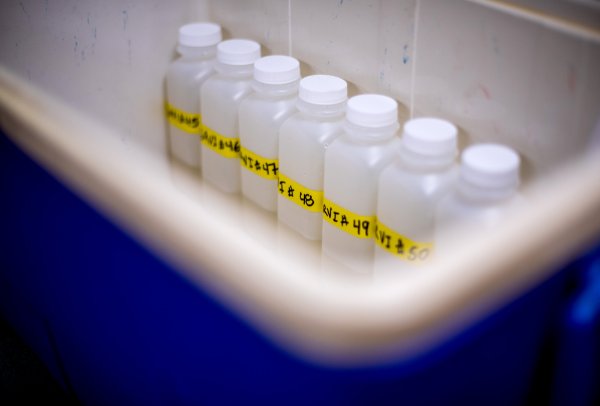 Bottles in a container in the lab.
