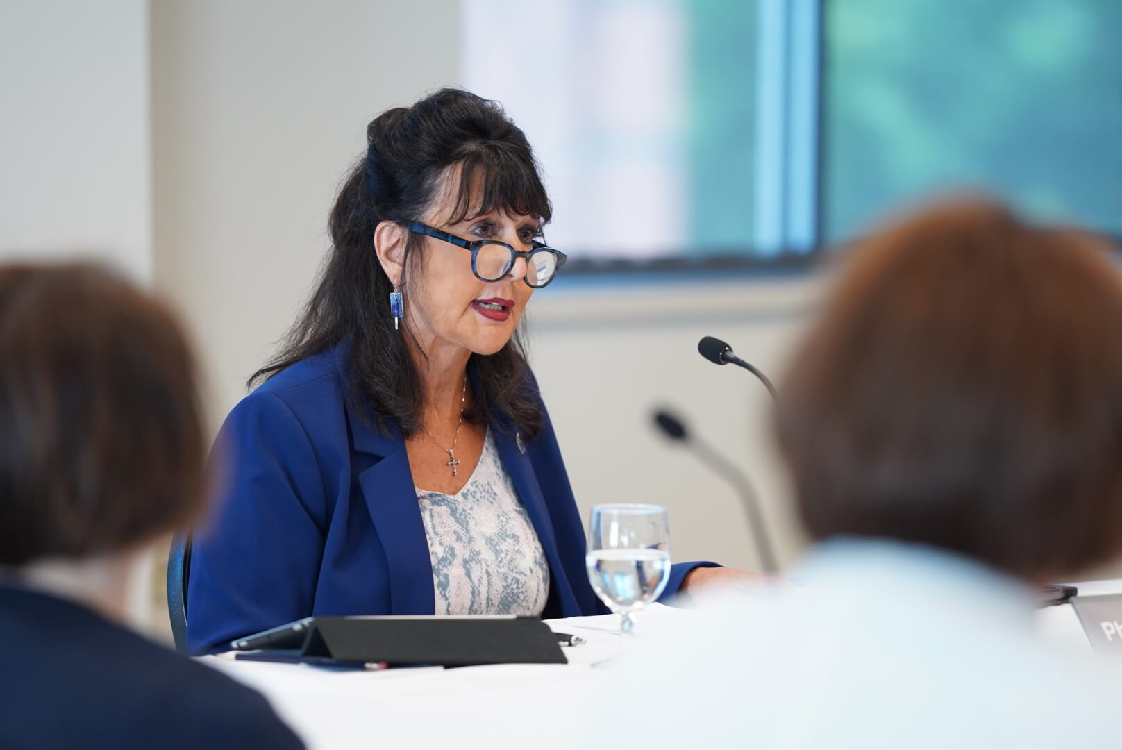 Picture of President Mantella at the July 12 Board of Trustees meeting.