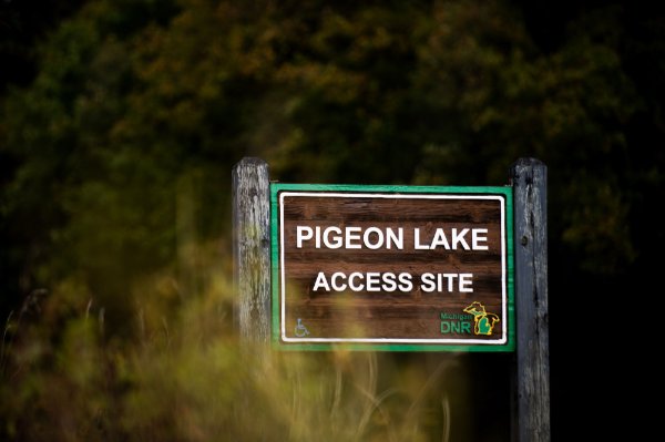 A wooden sign that says "Pigeon Lake Access Site" with vegetation in the foreground