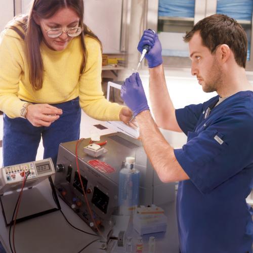 The program started with a handful of students in 1986; nearly 300 students will complete co-ops in 2016.