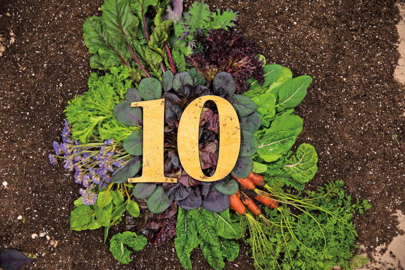 garden vegetables, plants with a number 10