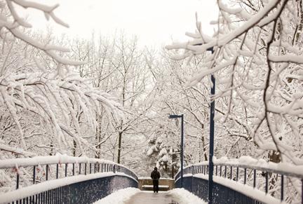 Photos by Elizabeth Lienau