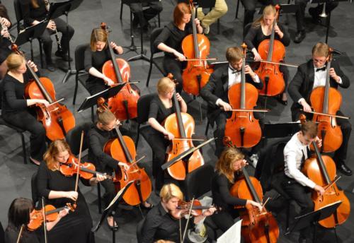 Photo by Caitlin Cusack